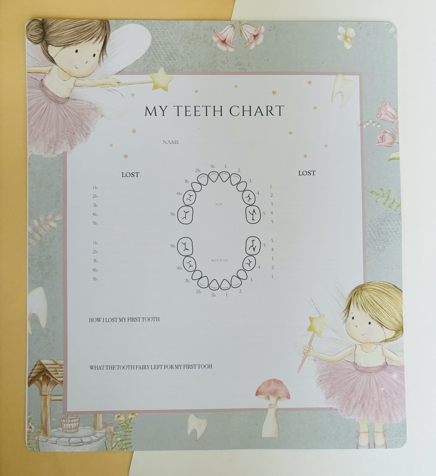 Fairies Tooth Fairy box and record chart