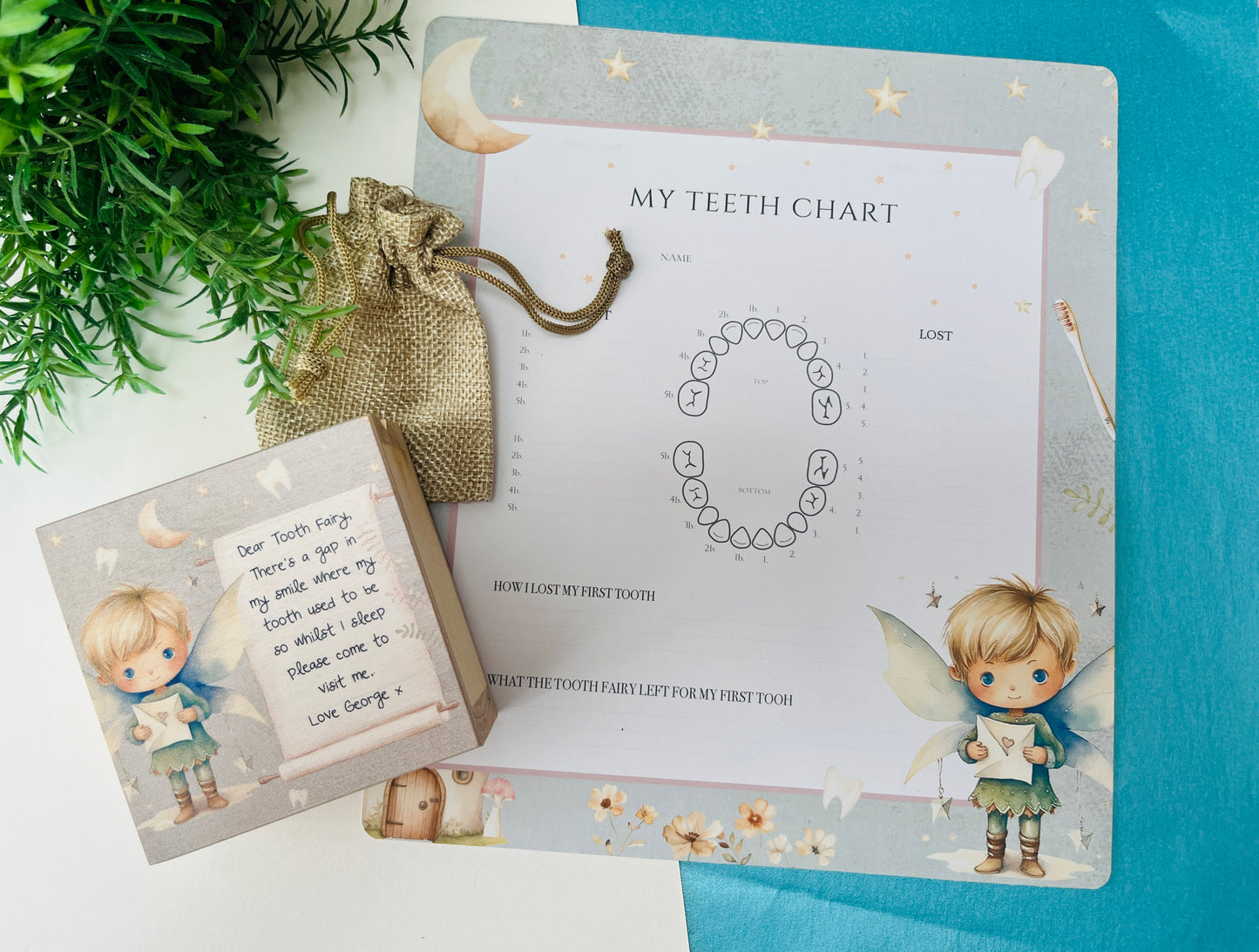 Pixie Tooth Fairy box and record chart