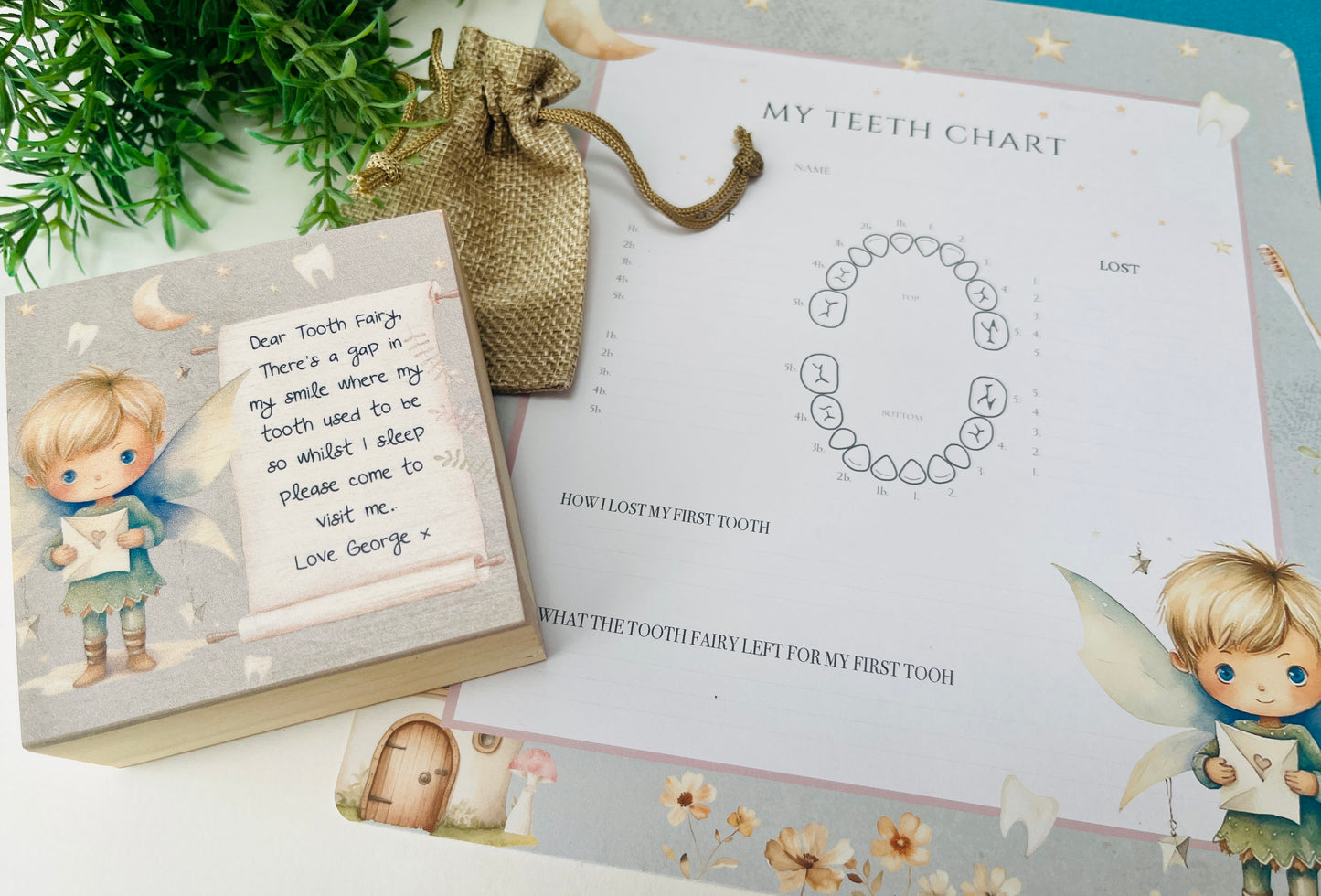Pixie Tooth Fairy box and record chart