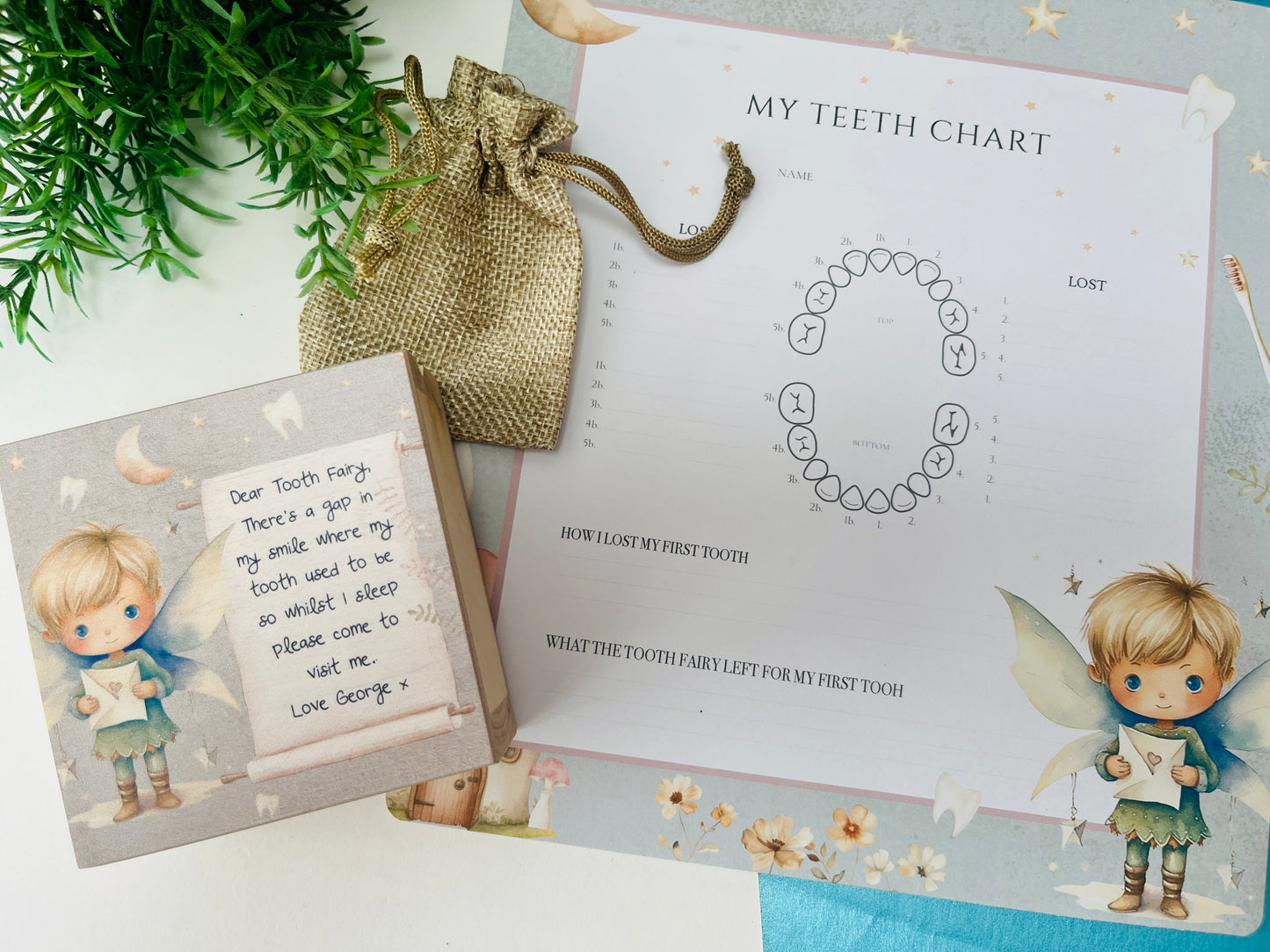 Pixie Tooth Fairy box and record chart