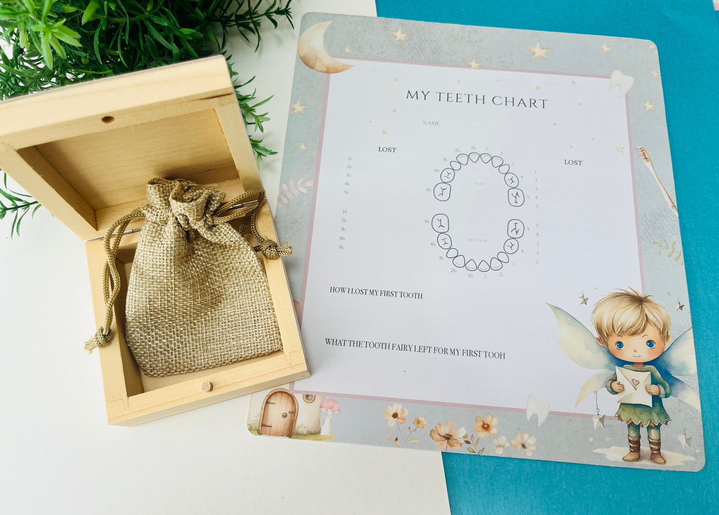 Pixie Tooth Fairy box and record chart