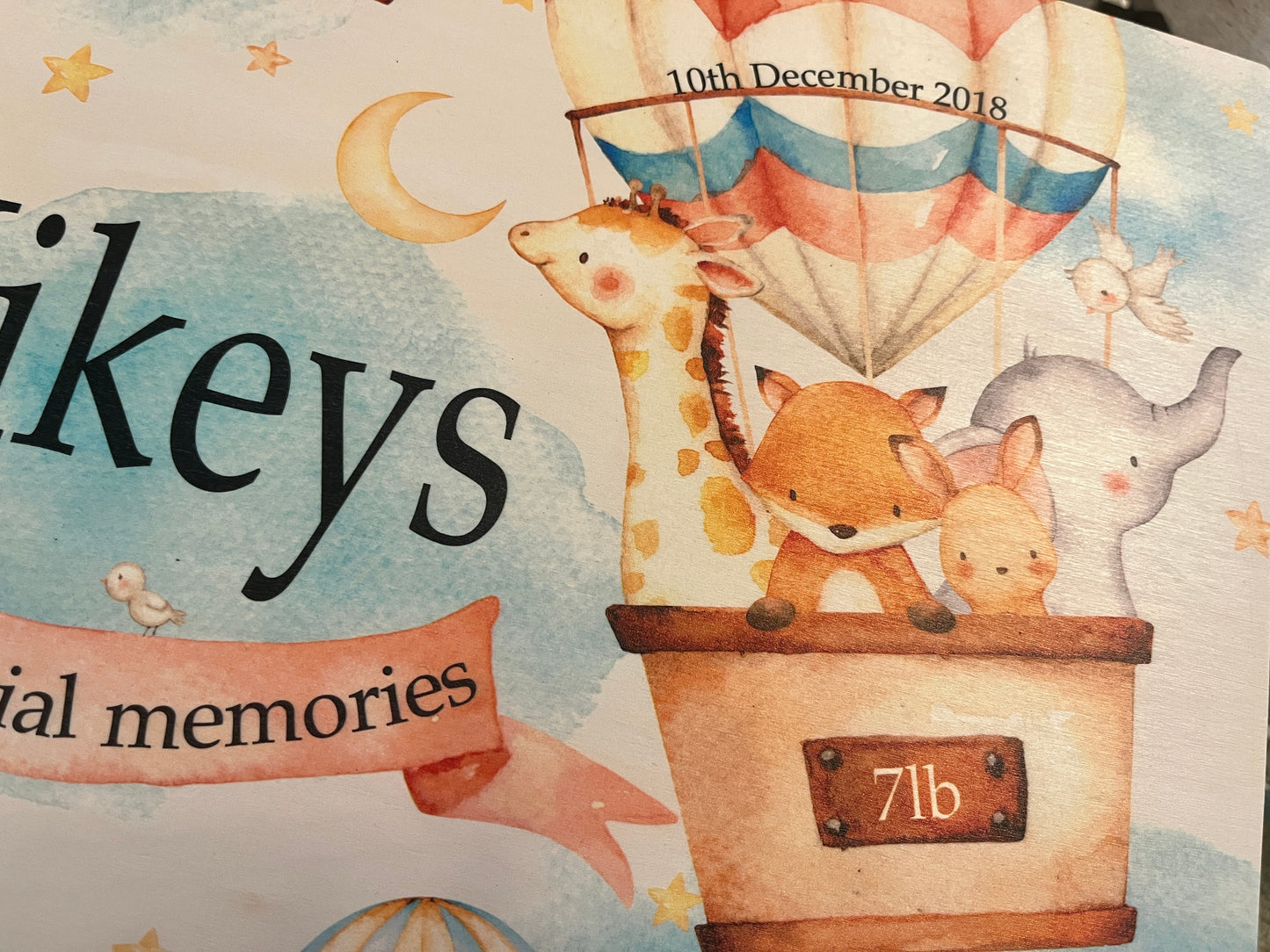 Jungle hot air balloon keepsake box