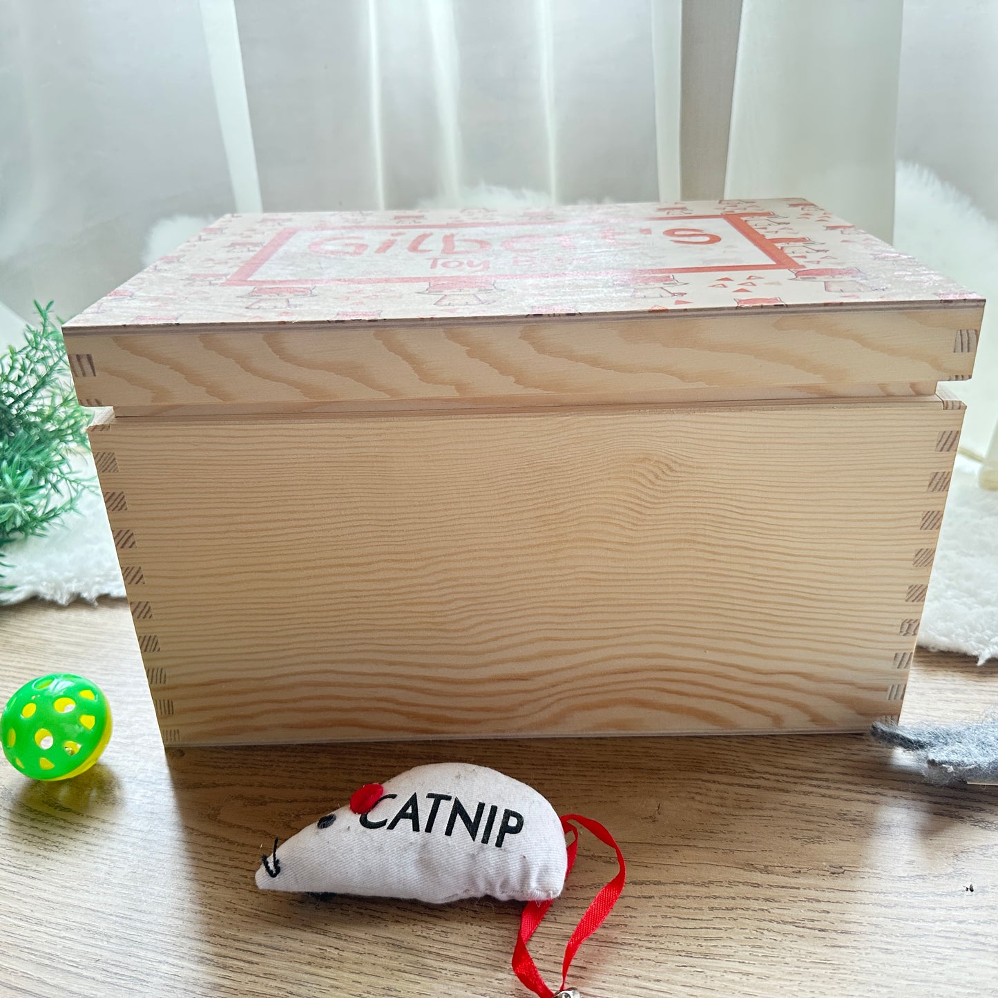 Cat Toy Box Lift Off Lid Box