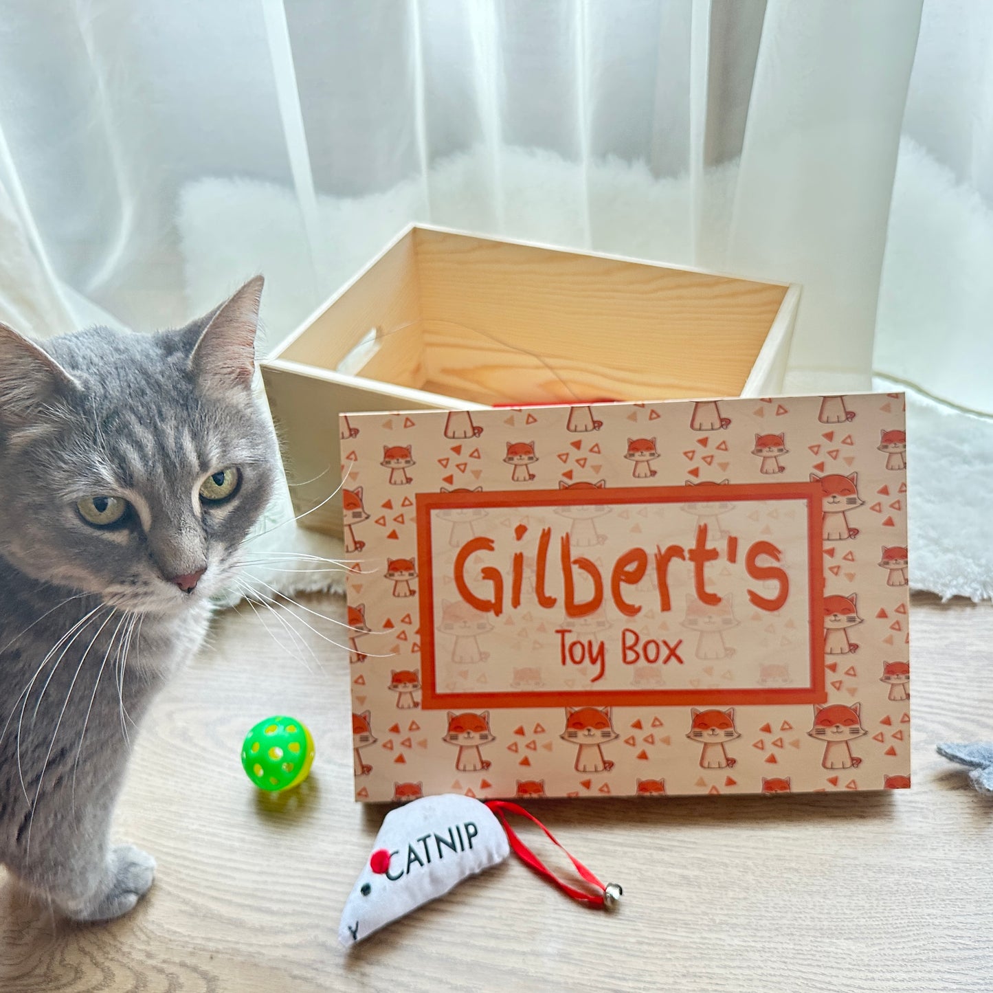 Cat Toy Box Lift Off Lid Box