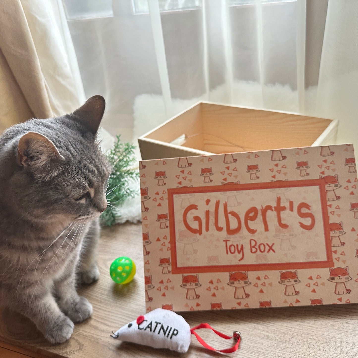 Cat Toy Box Lift Off Lid Box