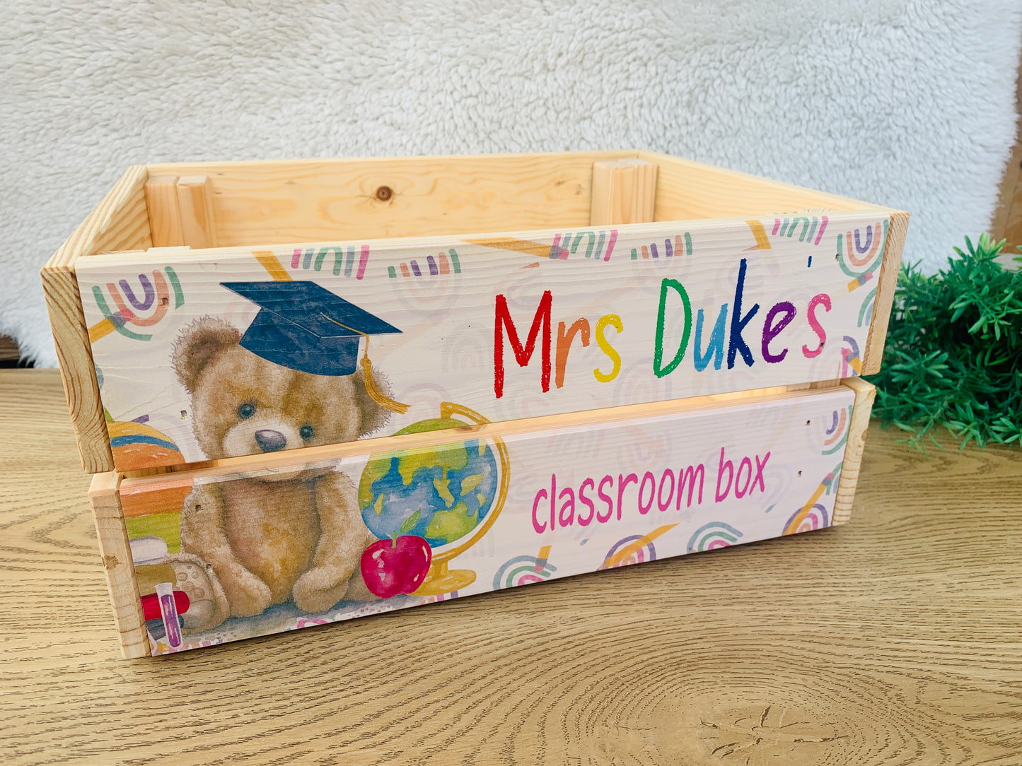 Teddy student school box