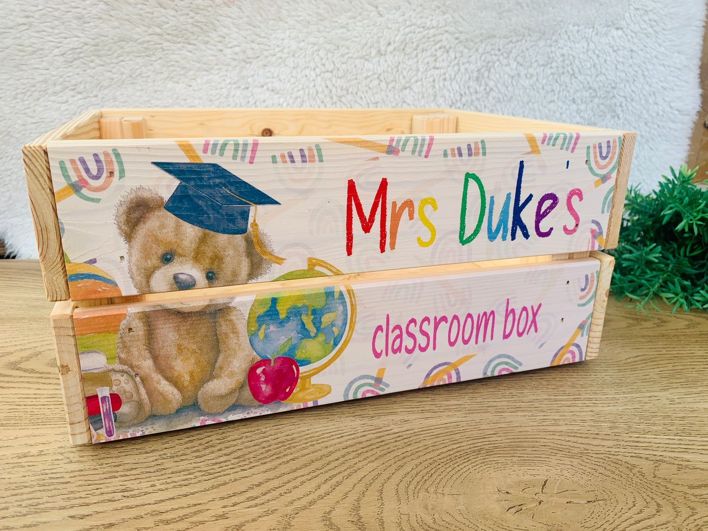 Teddy student school box