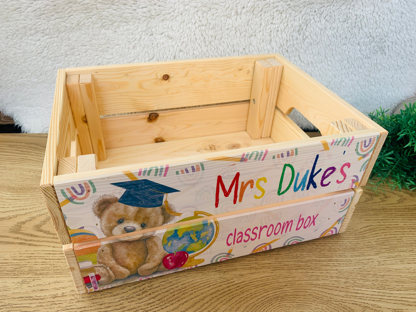 Teddy student school box