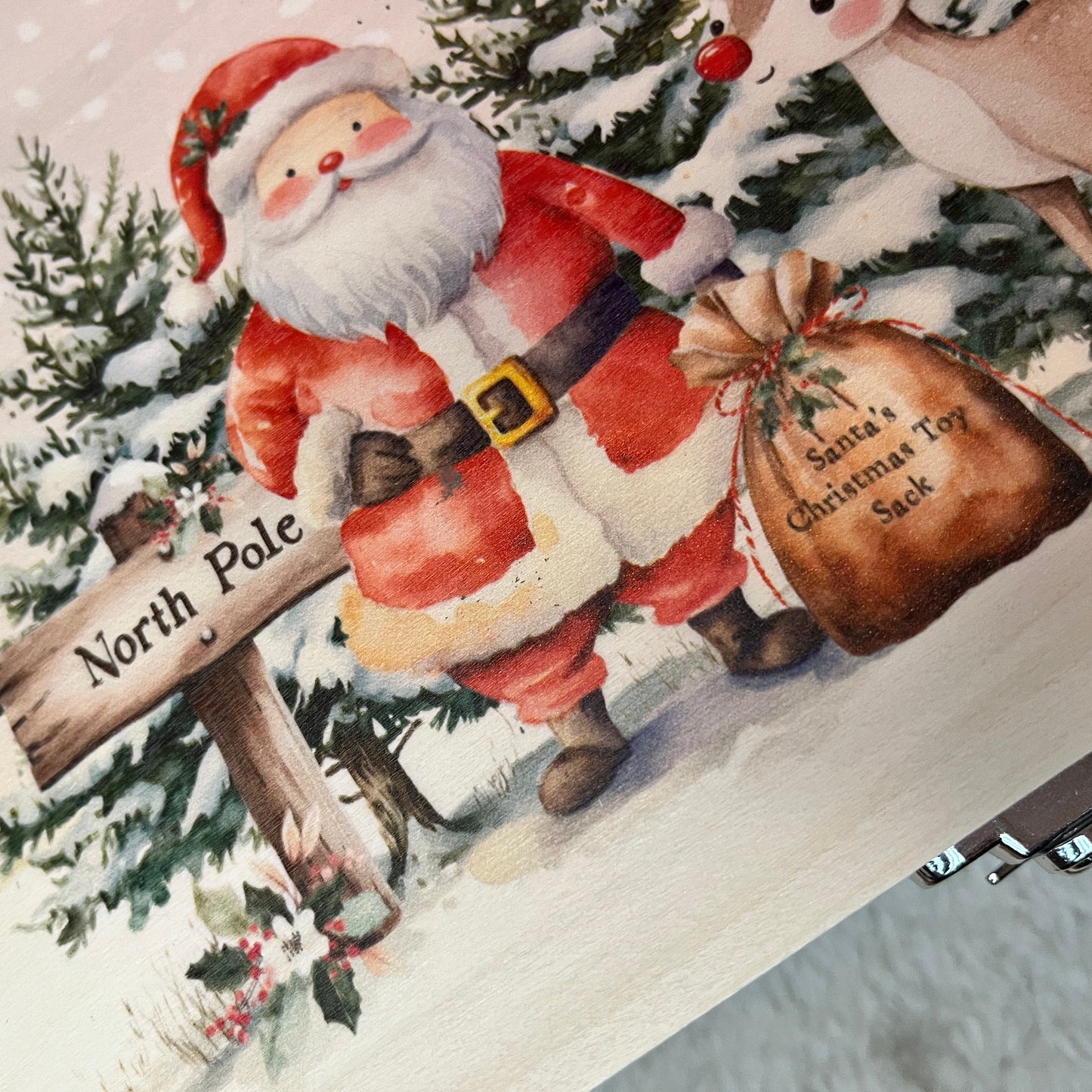 Christmas Santa and Reindeer scene Box