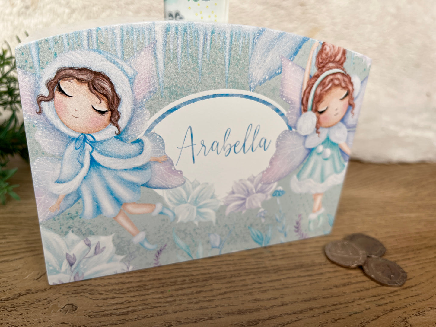Winter Princess money box