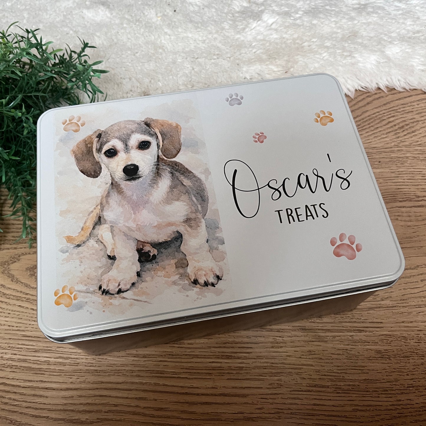 Pet drawing treat tin