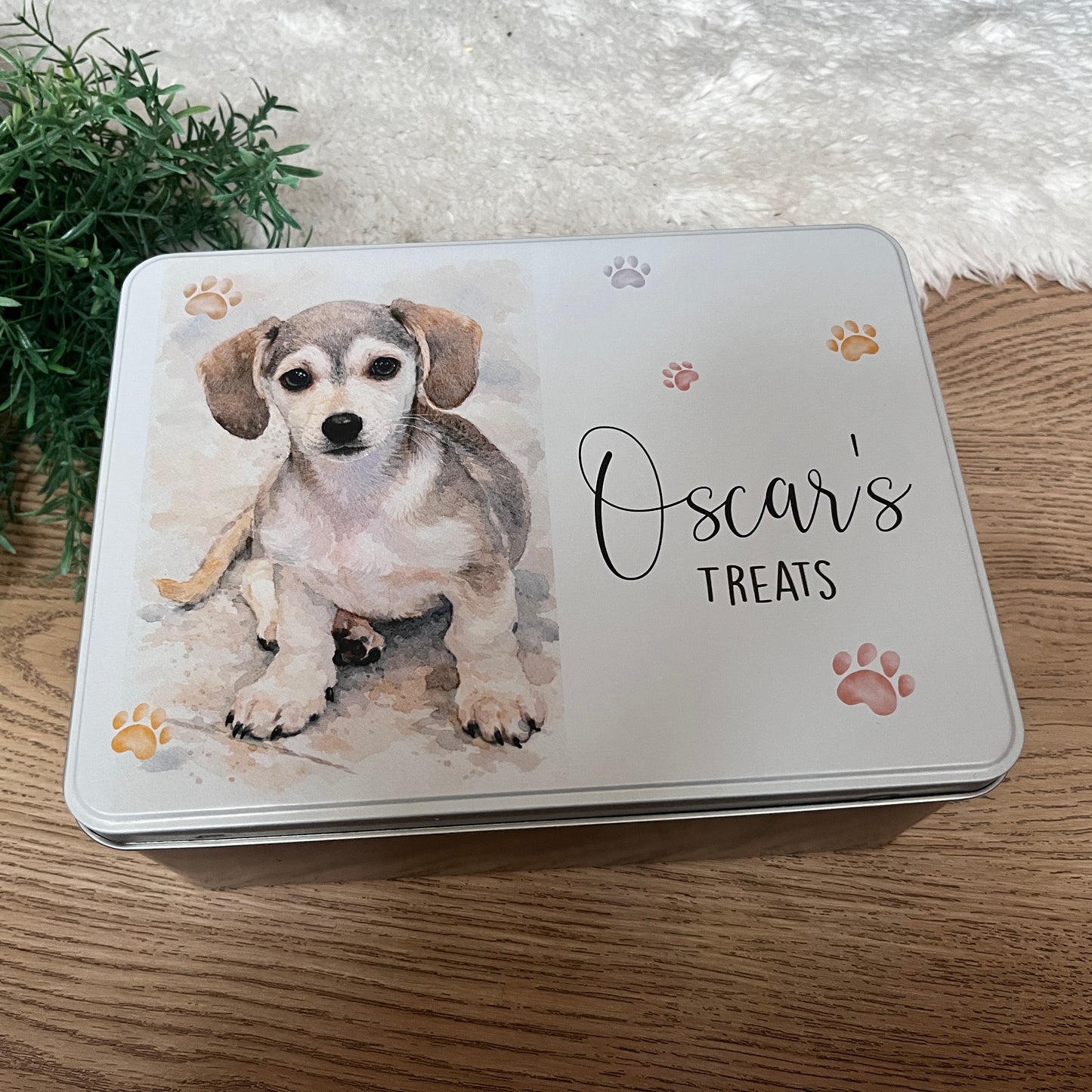Pet drawing treat tin