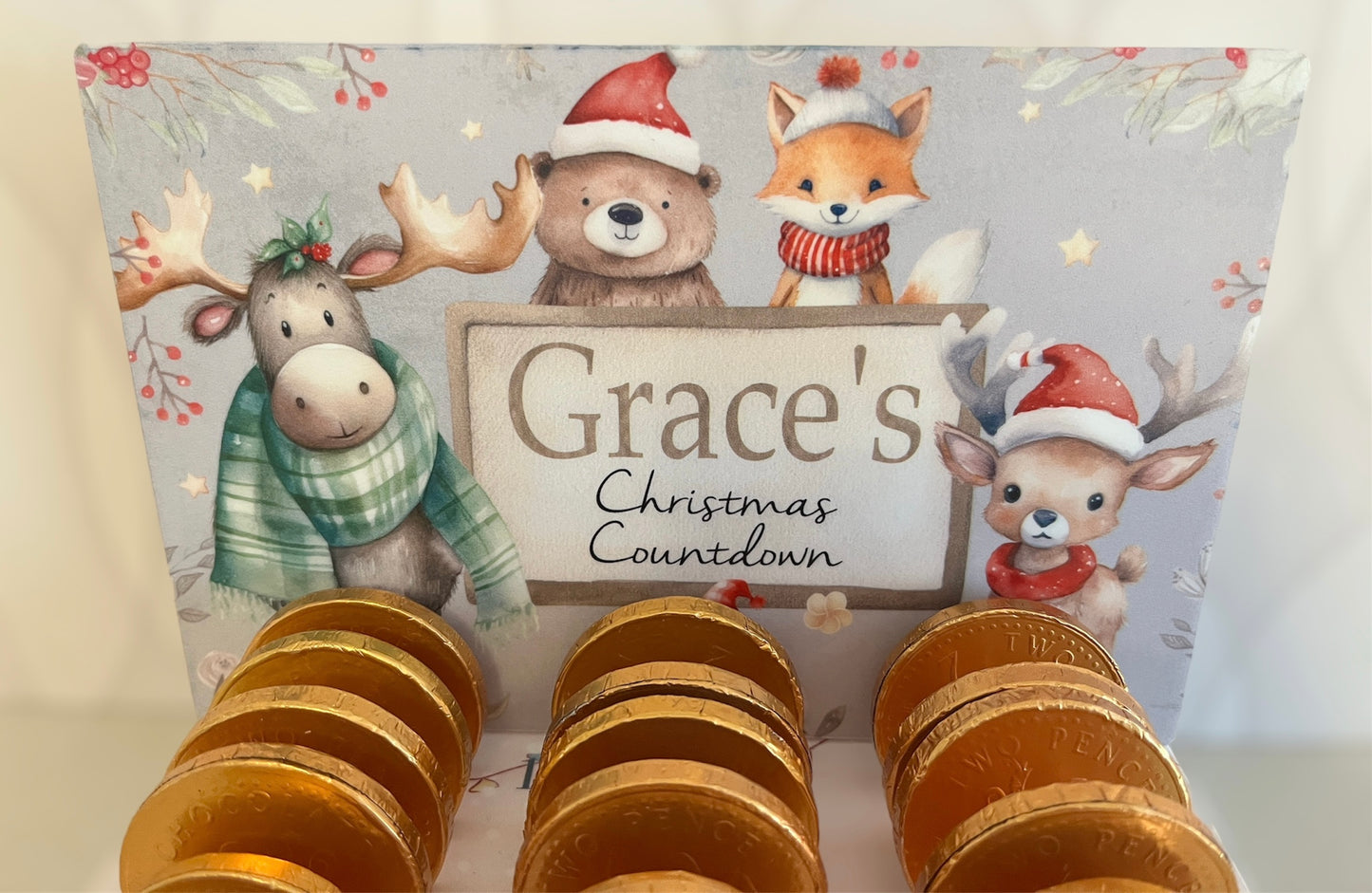 Woodland Animals Chocolate Coin Christmas Countdown