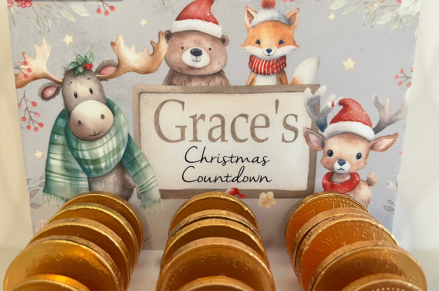 Woodland Animals Chocolate Coin Christmas Countdown