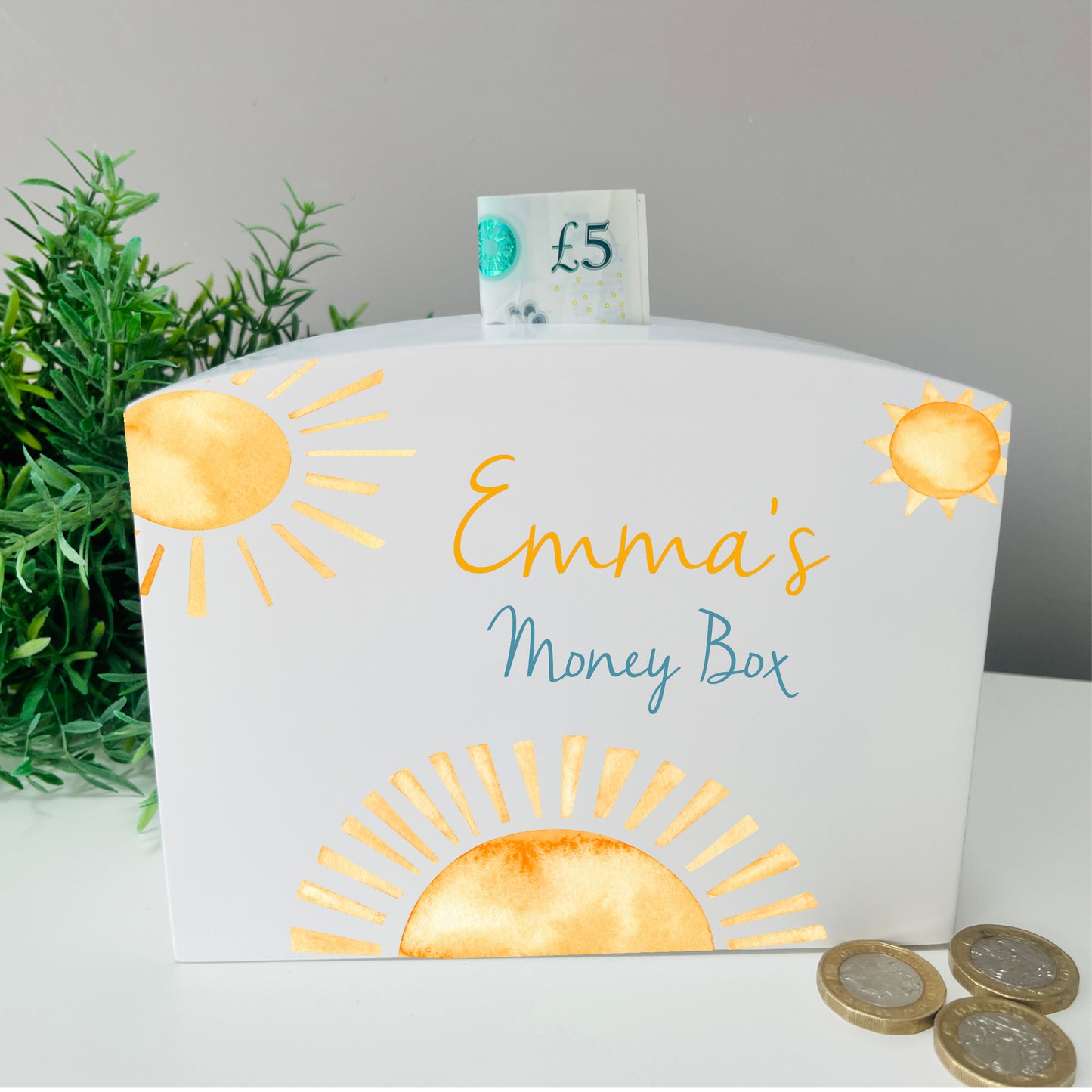Sunshine money box