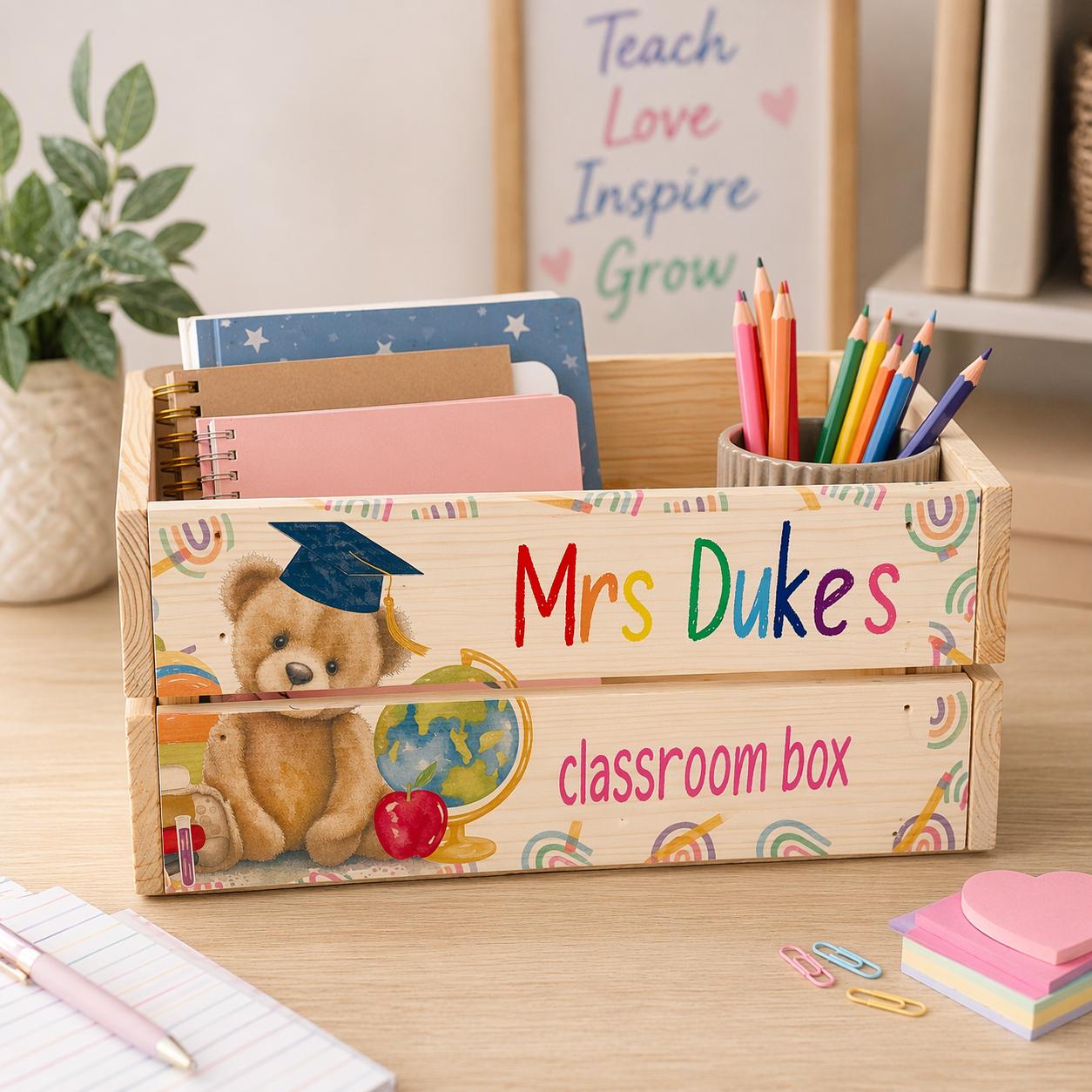 Teddy student school box