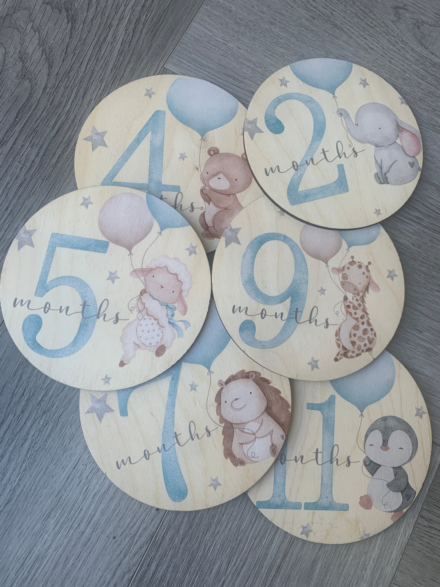 Wooden Milestone Discs