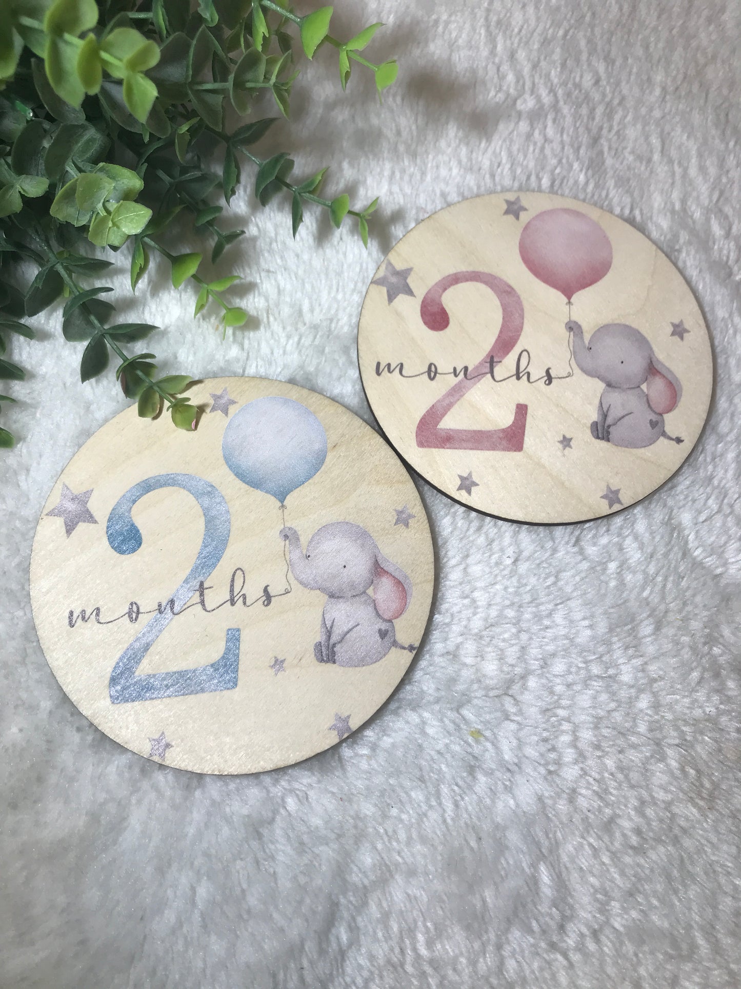 Wooden Milestone Discs