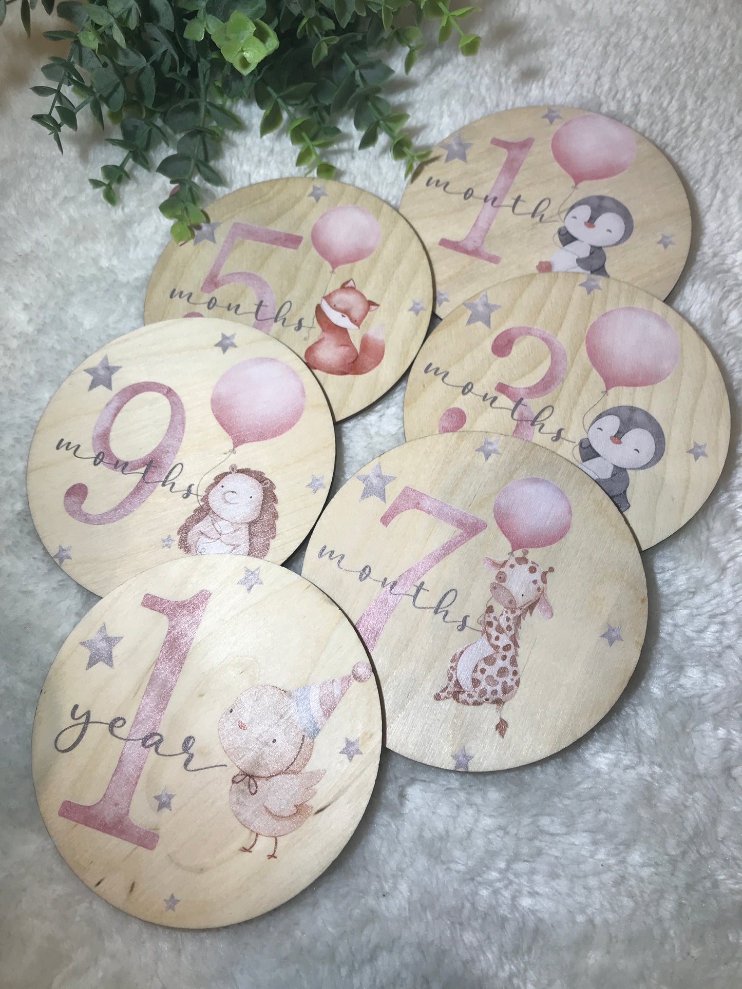 Wooden Milestone Discs